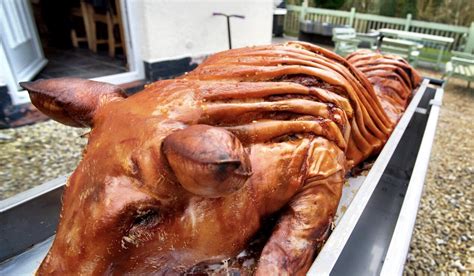Hog Roast Catering Spitting Pig North Wales