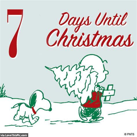 Snoopy 7 Days Until Christmas Quote Pictures Photos And Images For