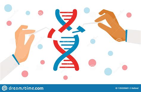 Human Biochemistry And Chromosomes Research Vector Biology Concept