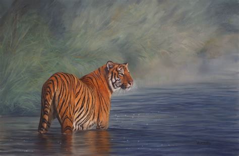 David Stribbling Wildlife Art Wildlife Artists Tiger Painting