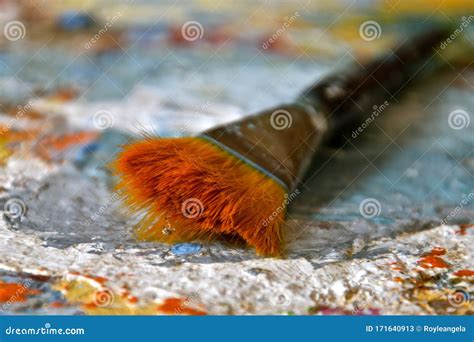 Close Up Of Paint Brush Bristles Stock Image Image Of Close Depth