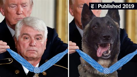 Trump Tweets Faked Photo Of Hero Dog Getting A Medal The New York Times