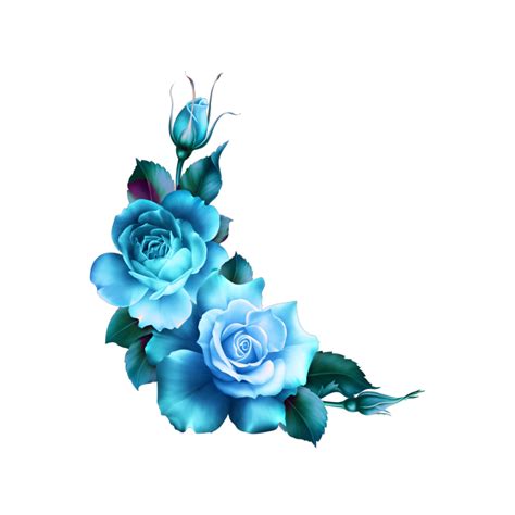 Blue Rose Clipart Border Blue Flowers Corner Png 640x480 Png Images