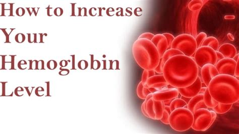 How To Increase Your Hemoglobin Level