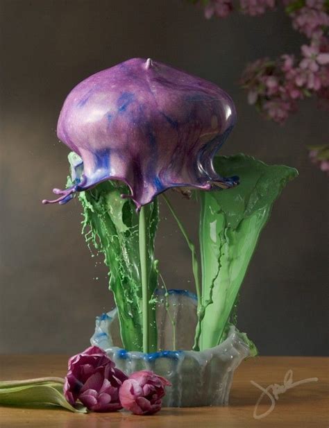 High Speed Liquid Flowers Photographed By Jack Long Фотографии