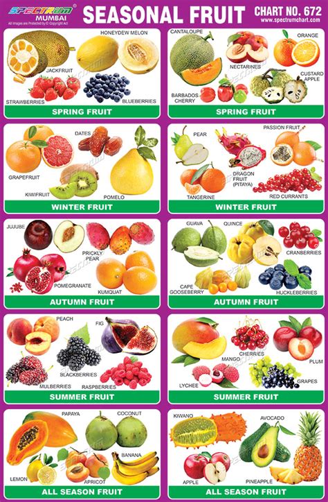 The following were the top 8 fruits preferred by most parents. Spectrum Educational Charts: Chart 672 - Seasonal Fruits