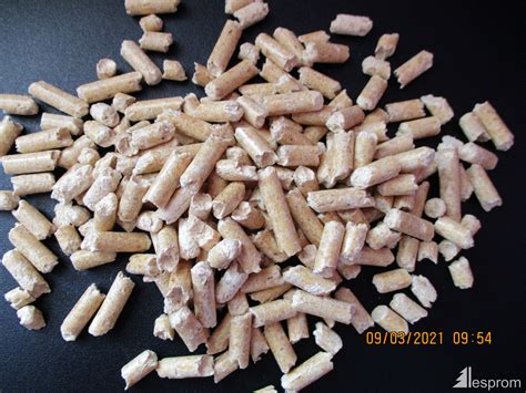 European Spruce Wood Pellets 6 Mm X 10 Mm