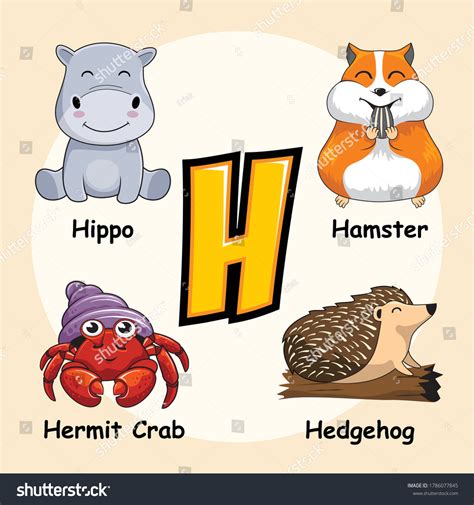 Cute Animals Alphabet Letter H Hedgehog Stock Vector Royalty Free