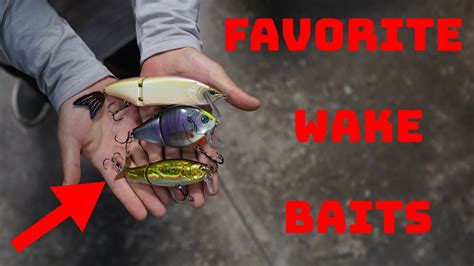 Our Favorite Wake Baits To Fish To Catch Aggressive Bass Youtube