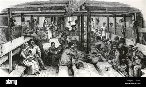 1800s Immigration To The Us