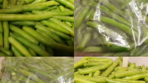 Comment Je Conserve Mes Haricots Verts Au Congélateur haricotsvert