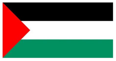 ويمكن الاطلاع على دقة الشاشة في إعدادات الجهاز. صور علم فلسطين رمزيات وخلفيات العلم الفلسطيني | ميكساتك