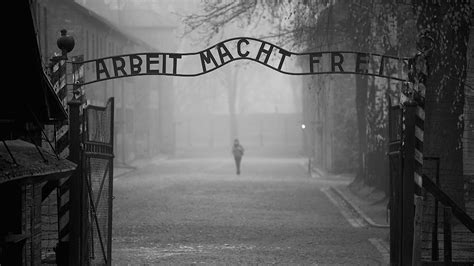 72° anniversario della liberazione del campo di concentramento di auschwitz. Giorno della Memoria - i libri consigliati dalla redazione ...