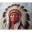 DNA Analysis Shows That Native American Genealogy Is One Of The Most 