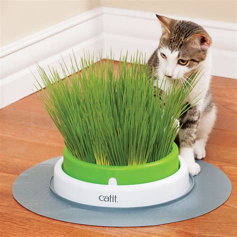 For use with the catit senses 2.0 grass planter. Catit 2.0 Cat Grass Planter Kit for Cats