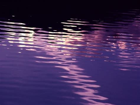 Purple Water Reflections Purple Water Reflections Scene S Flickr