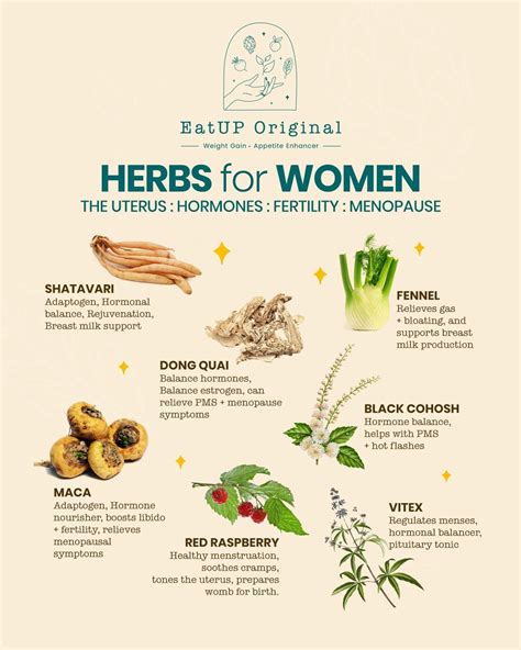 Hormone Regulating Herbs You May Have Never Heard Of Artofit