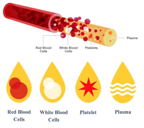 Platelet Count Of 70 Low Blood Platelet Count What Does It Mean