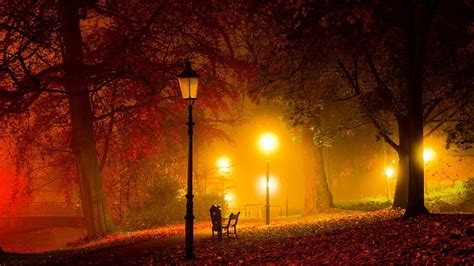 1080p Free Download Warm Lights In A Park At Night Lamps Bench