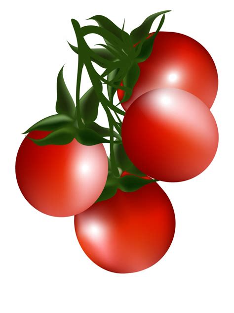 Cherry Tomato Clip Art Cartoon Red Tomatoes Clipart Clip Art Library