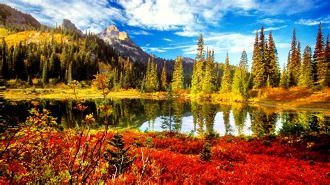 Fall Scenery Background Hd 1920 X 1080 Nature 1920x1080 Download