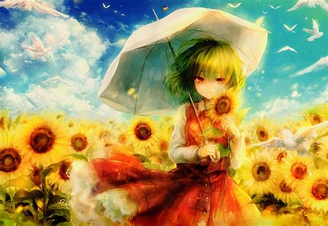 Akulah yang terbaik untukmu oh.woo…oh.woo…oh.wooo. Wallpaper Payung Matahari Hd Unduh Gratis Wallpaperbetter