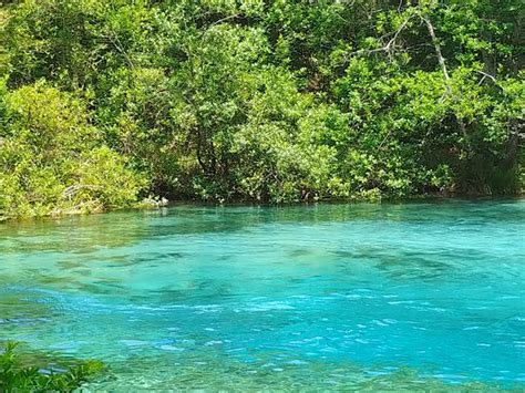 Ichetucknee springs cabins for rent. THE 10 CLOSEST Hotels to Ichetucknee Springs State Park ...