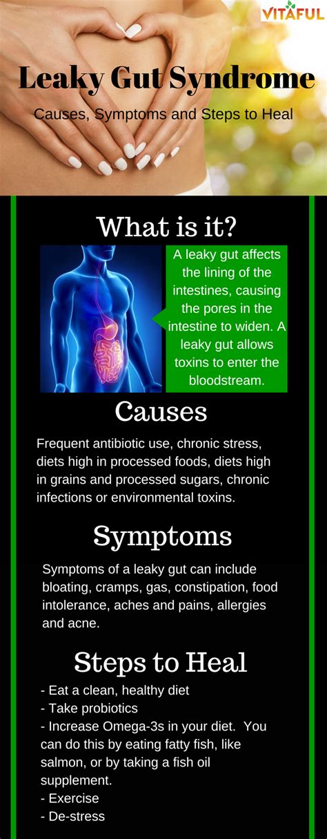 Leaky Gut Syndrome What It Is And How It Impacts Your Health Leaky Gut Syndrome Leaky Gut