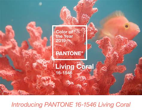 Pantone Color Of The Year 2019 Living Coral Bay Area Fashionista