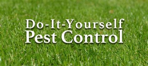 Maybe you would like to learn more about one of these? Pest Control Yourself | Pest Control