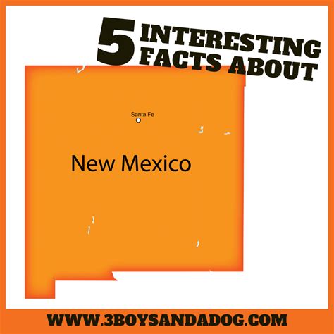 Interesting Facts About New Mexico 3 Boys And A Dog