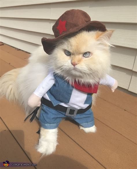 Cowboy Cat Costume Coolest Halloween Costumes