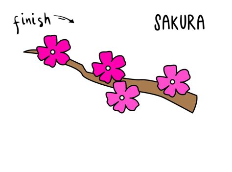 How To Draw Easy And Simple Cartoon Japanese Cherry Blossoms Sakura