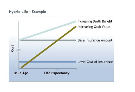 Understanding Your Life Insurance Options Dytuco Financial Services