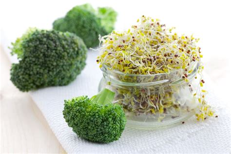 Broccoli Sprouts A Guide To Growing Your Own Plantura