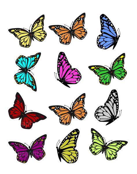 Clipart Butterflies Colorfulbutterfly Clipart Commercial Usevector