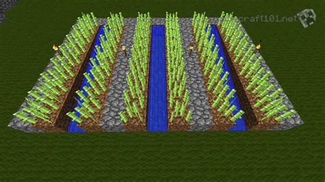 It's sugar cane harvesting season here at econopocalypse ranch. Farming Sugar Cane - Minecraft 101