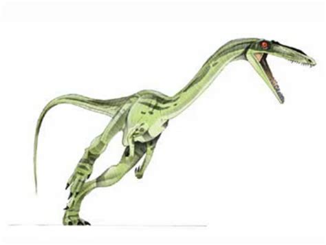Coelophysis Jurassic Park Wiki Fandom