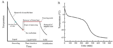 Typical Time Temperature Curve A Of Water During Freezing Processes