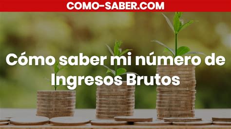 ⊛ Cómo Saber Mi Número De Ingresos Brutos En Argentina【2023