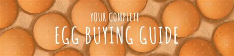 Complete Egg Buying Guide Different Egg Types Sauder S