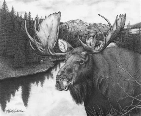 Melozi River Moose Barbara Schacher Western Artist Newport Wa