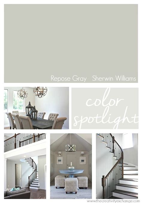 Repose Gray From Sherwin Williams Color Spotlight Spotlight Paint