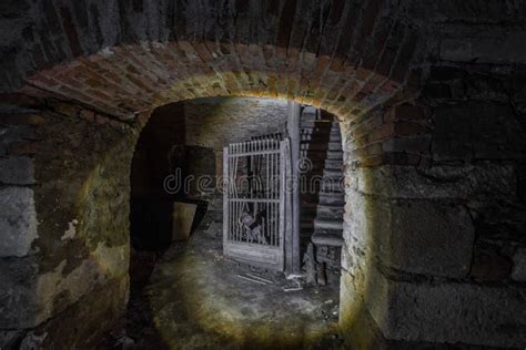 Dark Cellar With Plants Stock Photo Image Of Equipment 128363964