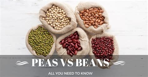 Soil inoculants are used when planting peas and beans to ensure the most compatible rhizobia strains are available when the plants start growing. The difference between peas vs beans - All you need to ...