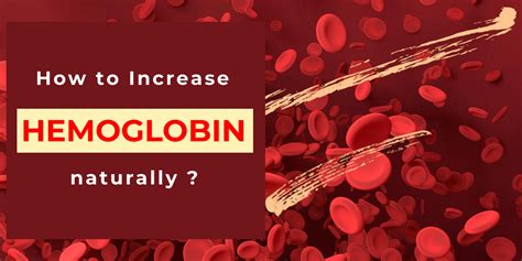 How To Increase Hemoglobin Total Ayurveda Ayurvedic Clinic