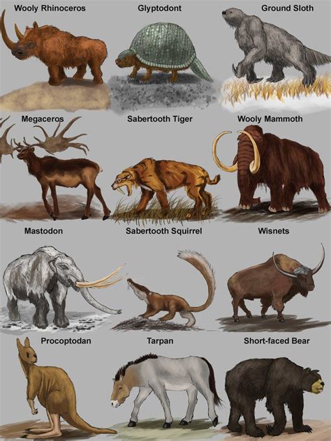 Image Result For Prehistoric Mammals Prehistoric Animals Extinct