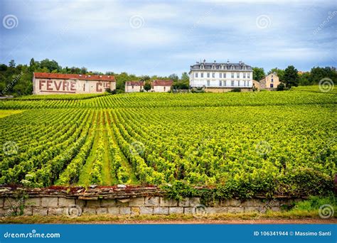 Chateau With Vineyards Burgundy France Editorial Stock Image Image