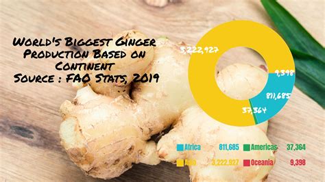 10 Words Biggest Ginger Producing Countries The Science Agriculture