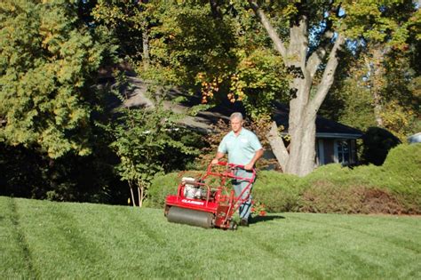 Northern Virginia Lawn Mowing And Edging Services